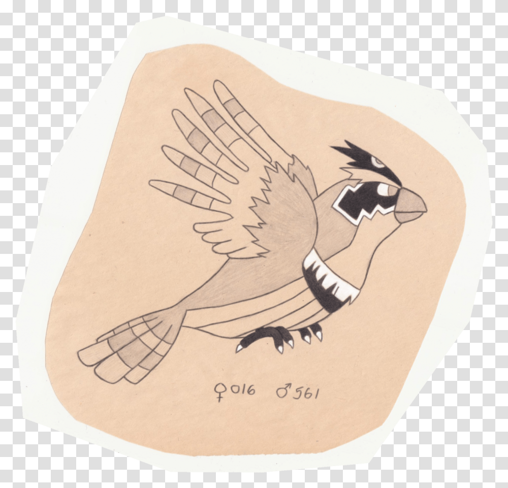 Tiny Bird Pokemon Illustration, Animal, Tattoo, Drawing Transparent Png