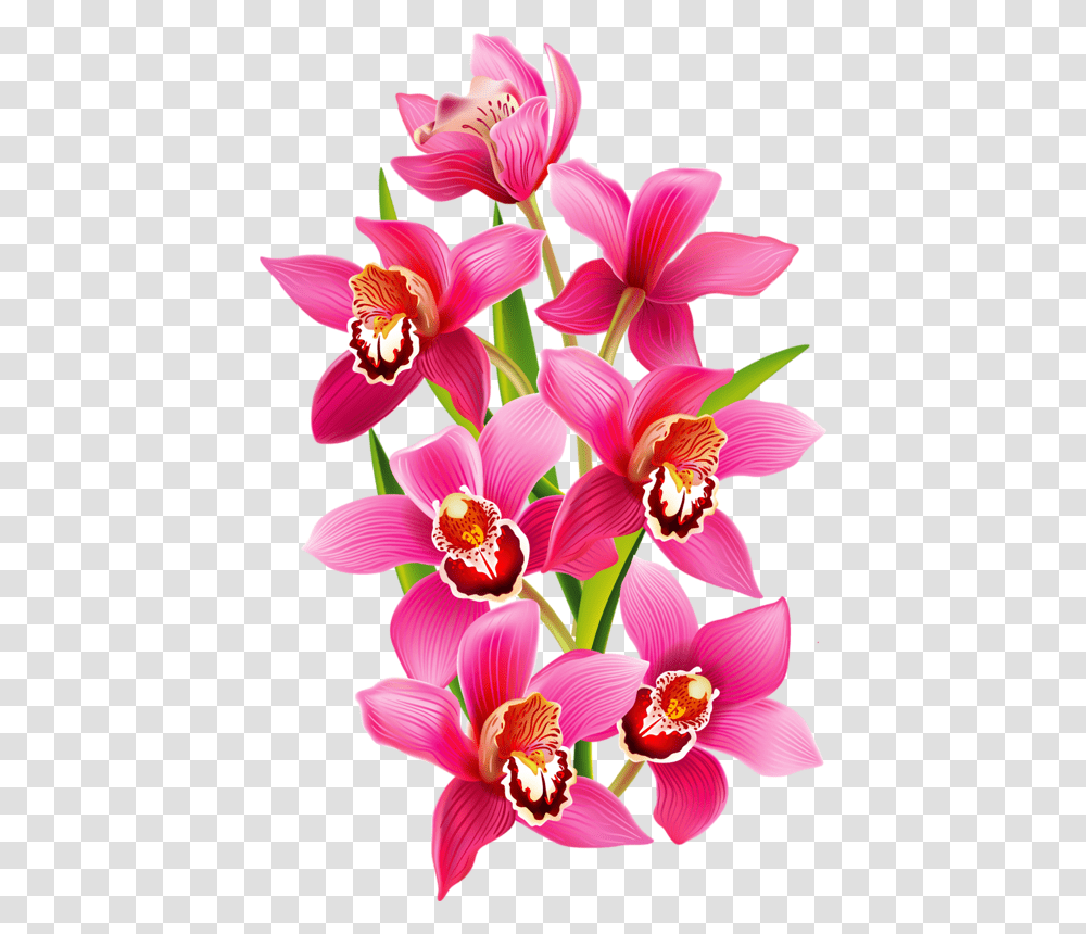 Tiny Clip Orchid, Plant, Flower, Blossom Transparent Png