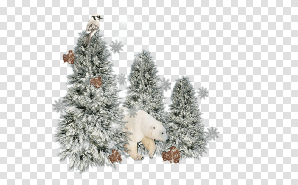 Tinypic, Tree, Plant, Ornament, Christmas Tree Transparent Png