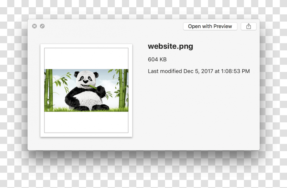 Tinypng, Giant Panda, Bear, Wildlife, Mammal Transparent Png