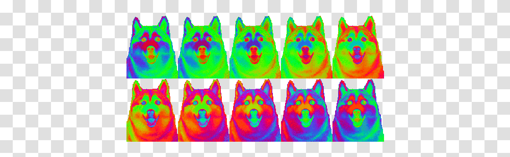 Tip For Optimizing Animated Canvases Save Web As 8 Kunming Wolfdog, Collage, Poster, Advertisement, Cat Transparent Png