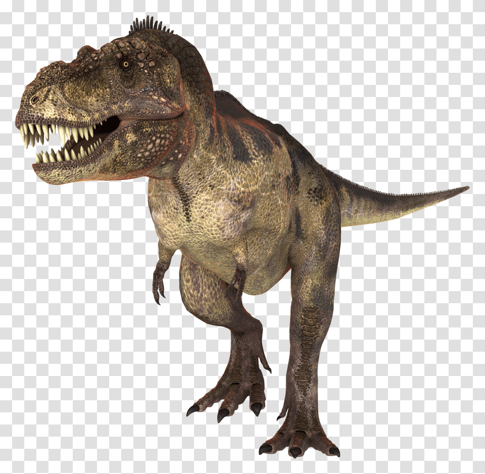 Tiranossauro Rex Sem Fundo Transparent Png