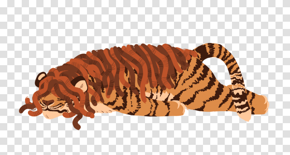 Tired Tiger, Animal, Mammal, Rug, Flea Transparent Png