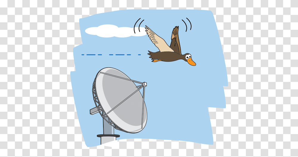 Tired Travelers Nasa Space Place - Science For Kids Radar Bird, Animal, Antenna, Electrical Device, Waterfowl Transparent Png
