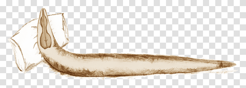 Tired Worm, Wood, Plywood Transparent Png