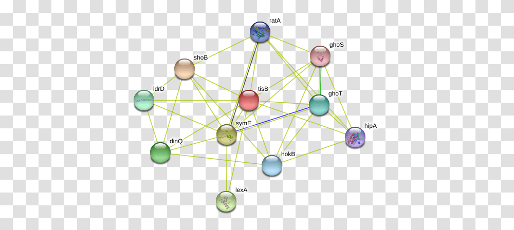 Tisb Protein, Network, Diagram Transparent Png