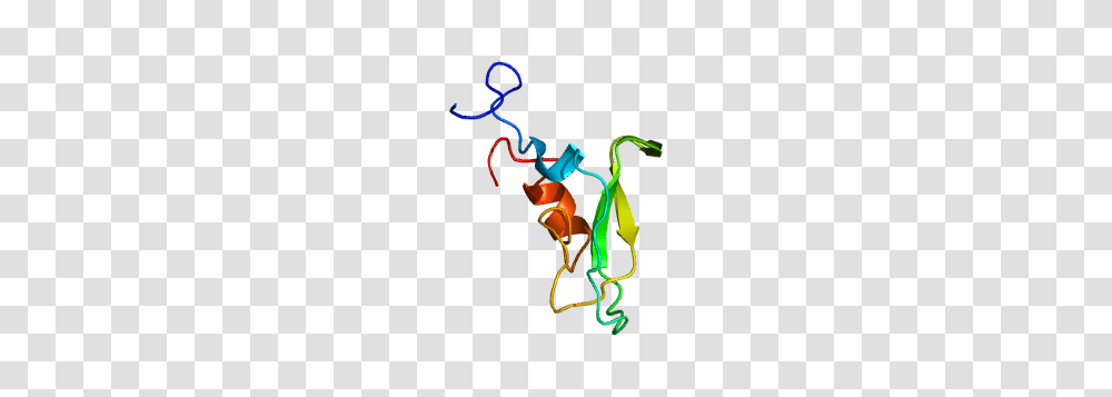 Tissue Factor Pathway Inhibitor, Light, Neon, Skeleton, Acrobatic Transparent Png