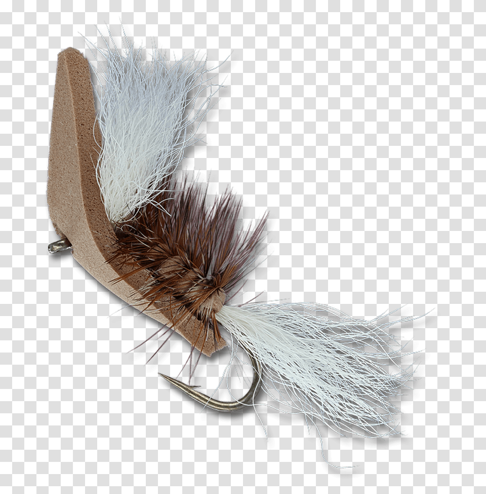 Titanic Tan Artificial Fly, Bird, Animal, Invertebrate, Insect Transparent Png