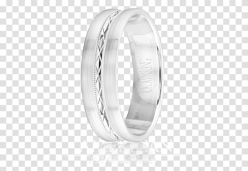 Titanium Ring, Platinum, Accessories, Accessory, Jewelry Transparent Png