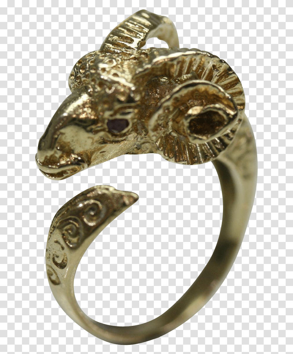 Titanium Ring, Snake, Reptile, Animal, Bronze Transparent Png
