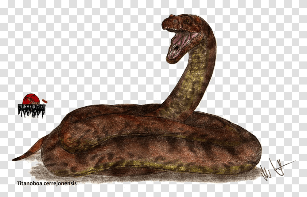 Titanoboa Snake Image Background Titanoboa Jurassic Park, Reptile, Animal, Dinosaur Transparent Png