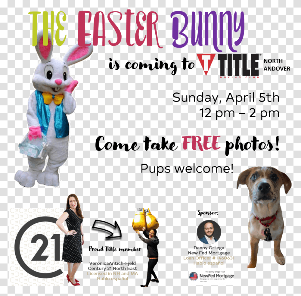 Title Boxing North Andover 04 Easter Bunny Costumes, Person, Dog, Pet, Canine Transparent Png