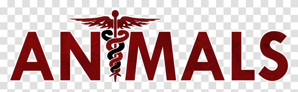 Title Medical Symbol, Logo, Trademark, Word Transparent Png