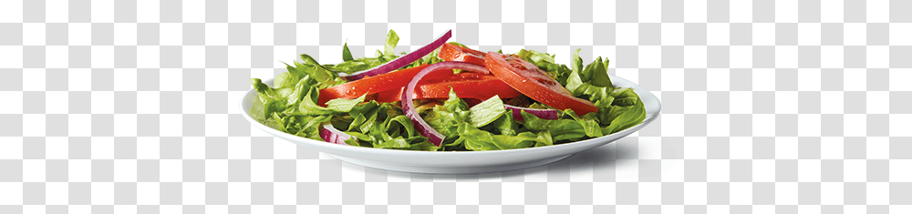 Title Water Spinach, Salad, Food, Plant, Meal Transparent Png