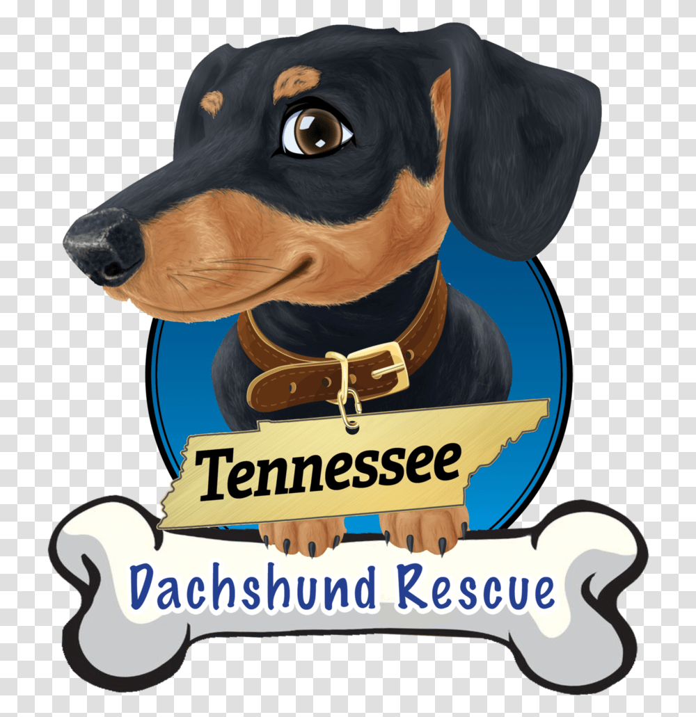 Tn Dachshund Rescue, Advertisement, Poster, Flyer, Paper Transparent Png