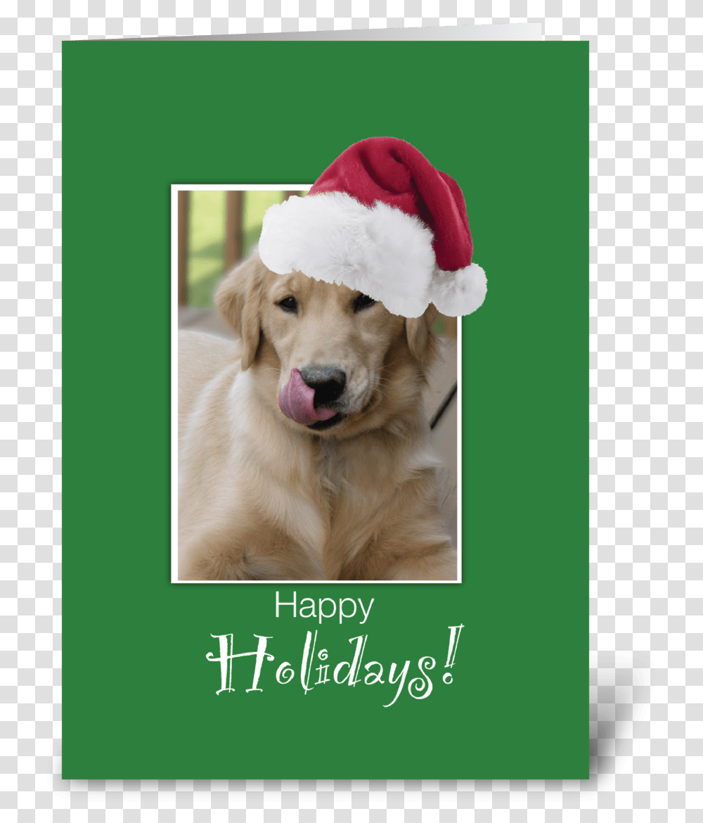 To Dog Walker At Christmas Retriever Greeting Card Happy Holidays Dog Gif, Golden Retriever, Pet, Canine, Animal Transparent Png