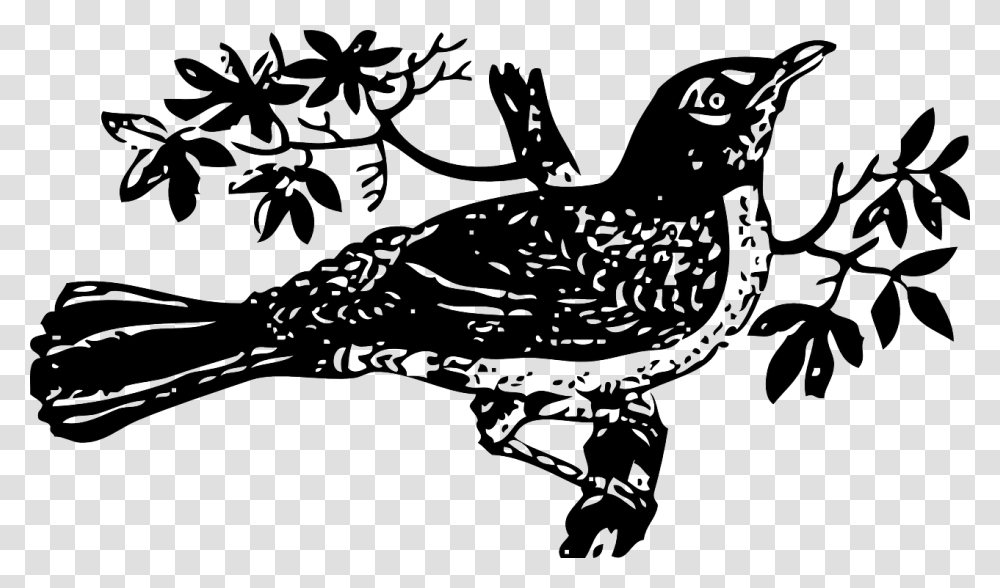 To Kill A Mockingbird Clip Art Mockingbird Clipart, Animal, Stencil, Silhouette, Blackbird Transparent Png