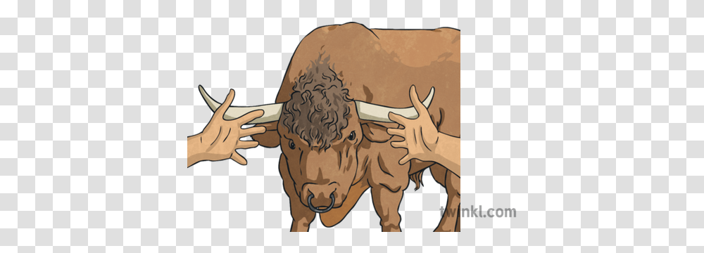 To Take The Bull By Horns Idioms Animal Hands Topics Ks2, Tattoo, Skin, Head, Face Transparent Png
