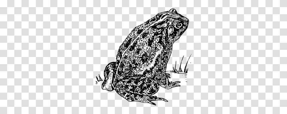 Toad Technology, Gray, World Of Warcraft Transparent Png
