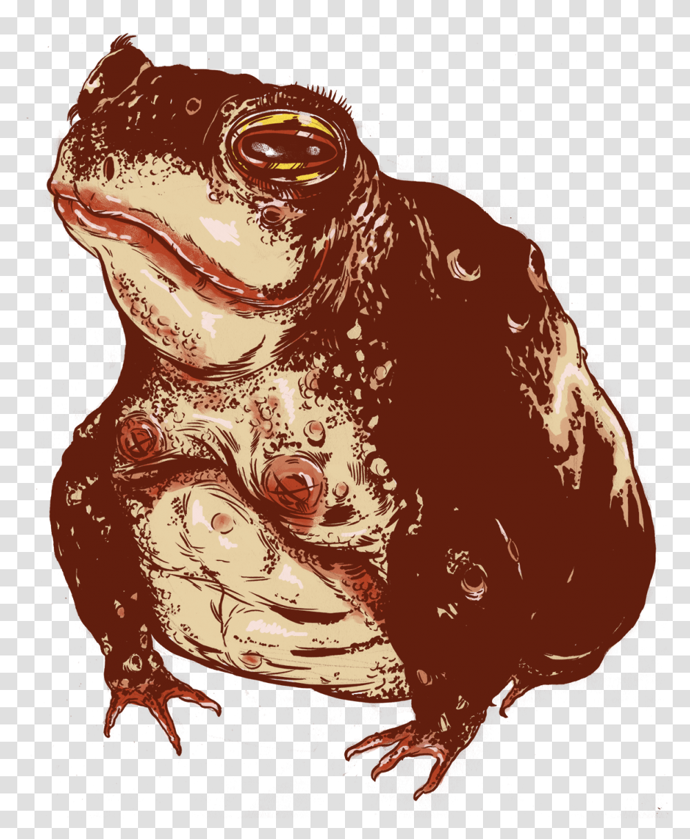 Toad Animal Eastern Spadefoot, Wildlife, Amphibian, Frog Transparent Png