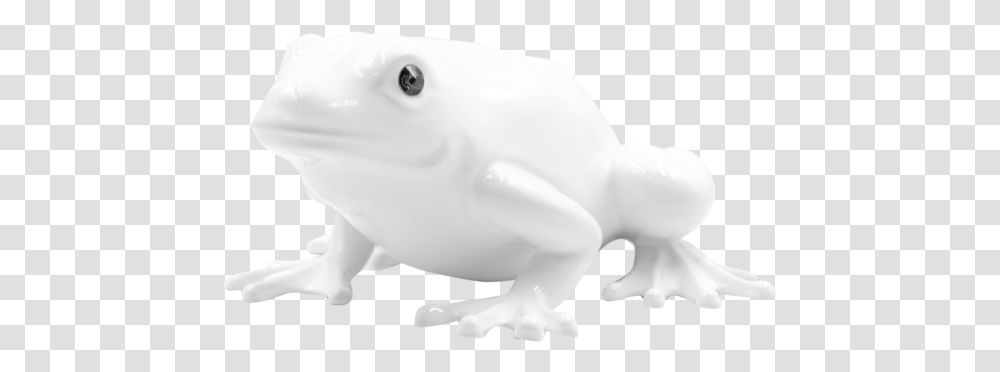 Toad, Animal, Mammal, Wildlife, Snowman Transparent Png