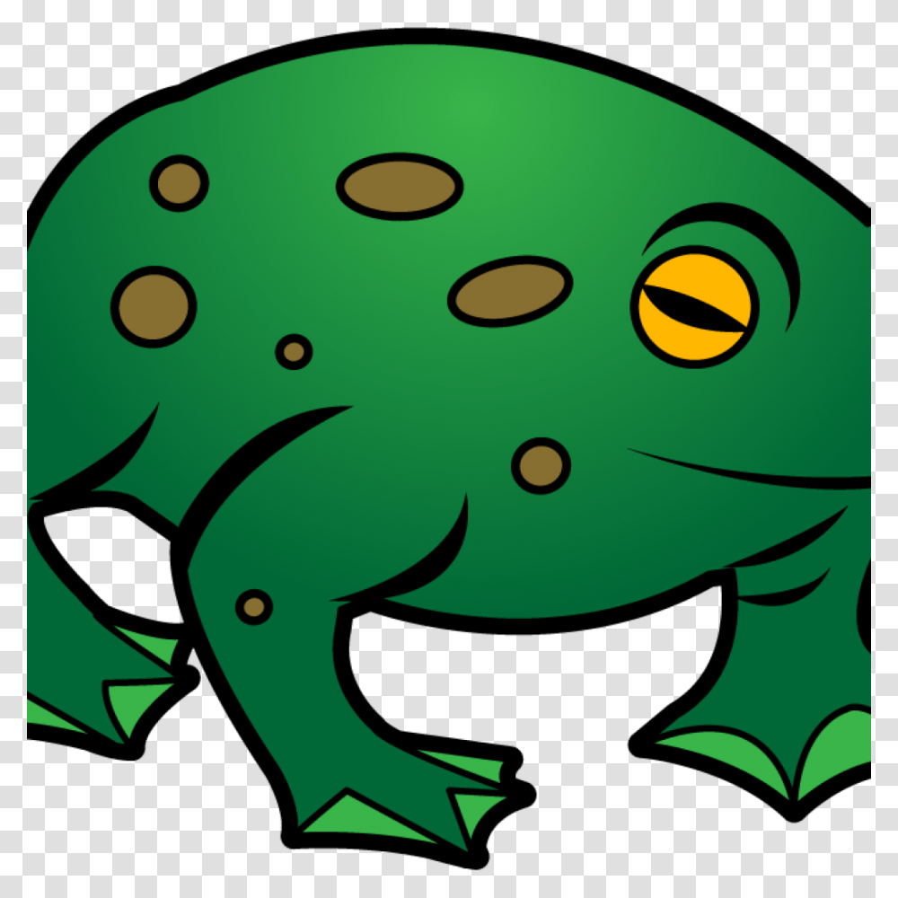 Toad Clip Art Free Clipart Download, Green, Animal, Amphibian, Wildlife Transparent Png