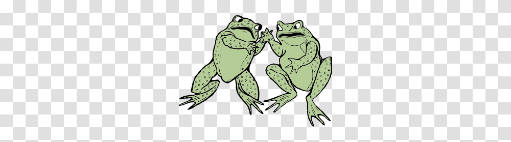 Toad Clip Art, Frog, Amphibian, Wildlife, Animal Transparent Png