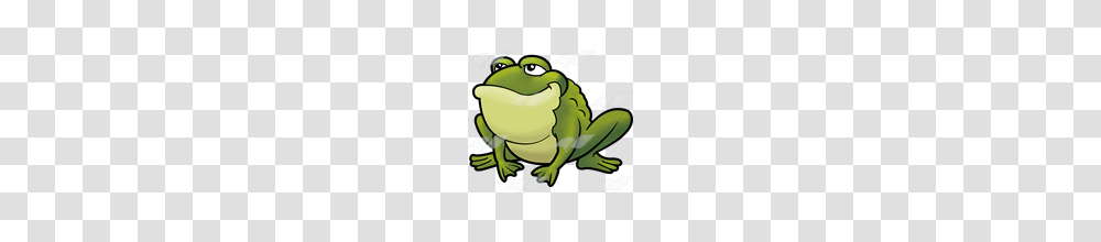 Toad Clipart Green Thing, Frog, Amphibian, Wildlife, Animal Transparent Png