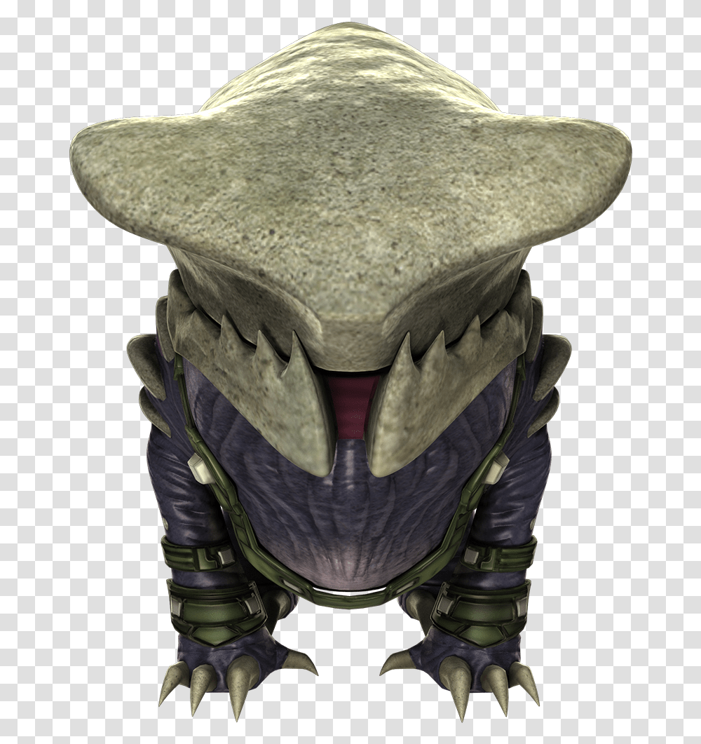 Toad, Apparel, Costume, Hat Transparent Png