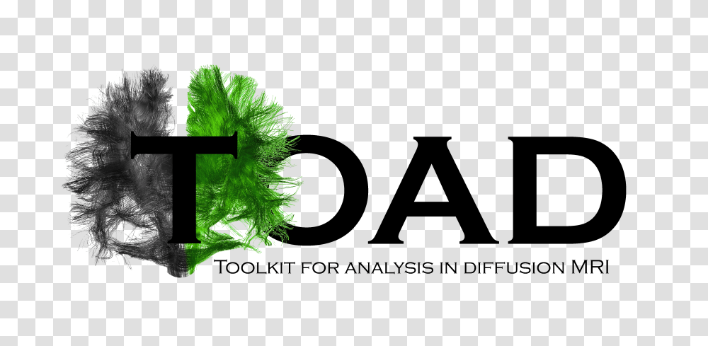 Toad Documentation, Cross, Green, Plant Transparent Png