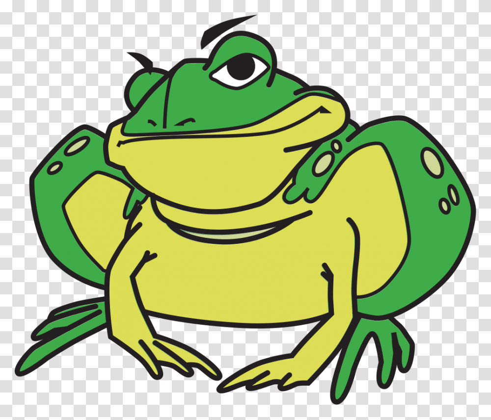 Toad, Frog, Amphibian, Wildlife, Animal Transparent Png