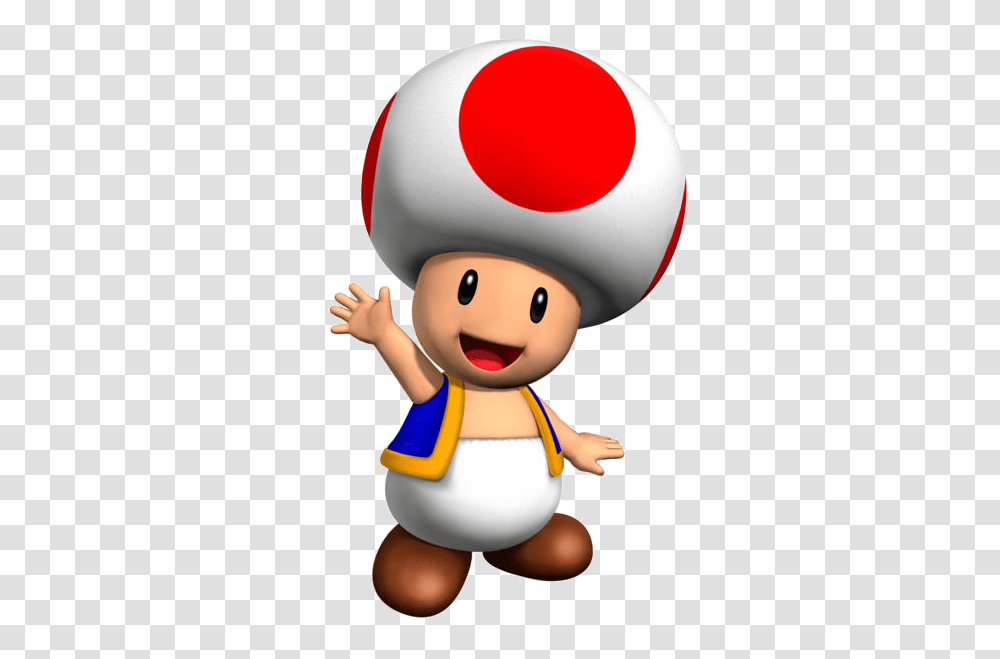 Toad, Person, Human, Elf, Toy Transparent Png