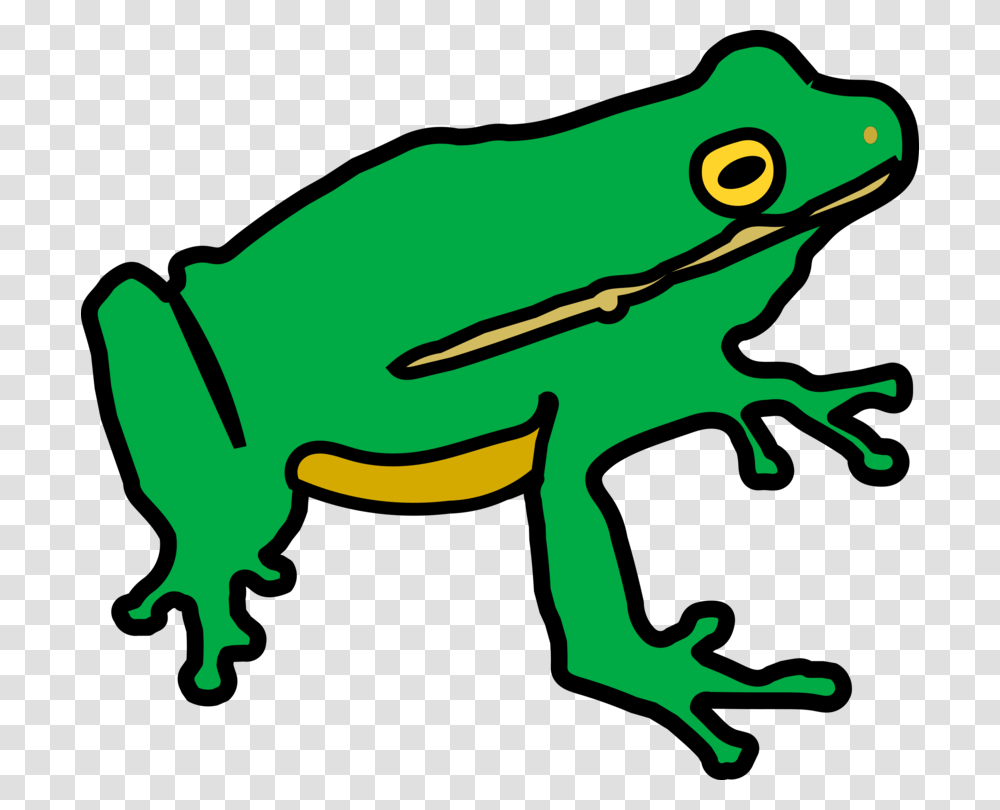 Toad Tree Frog Amphibian Lithobates Clamitans, Wildlife, Animal Transparent Png