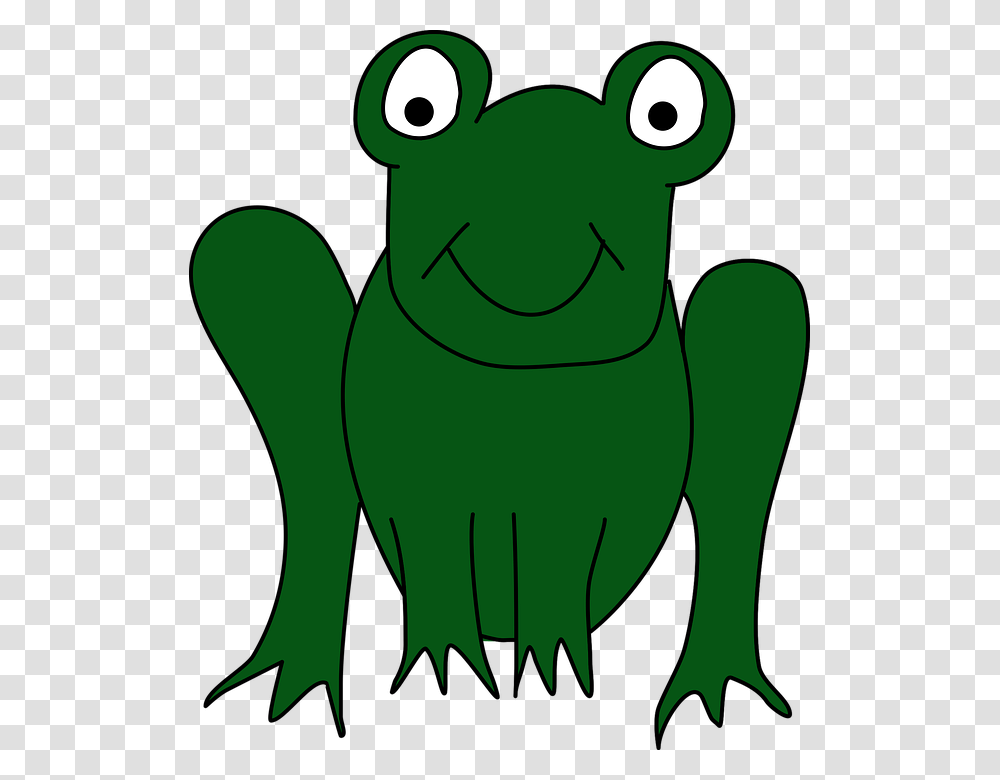 Toad True Frog Clip Art Tree Frog, Animal, Wildlife, Amphibian, Mammal Transparent Png
