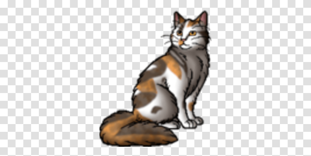 Toadleap Warrior Cats Mousewhisker, Pet, Mammal, Animal, Manx Transparent Png