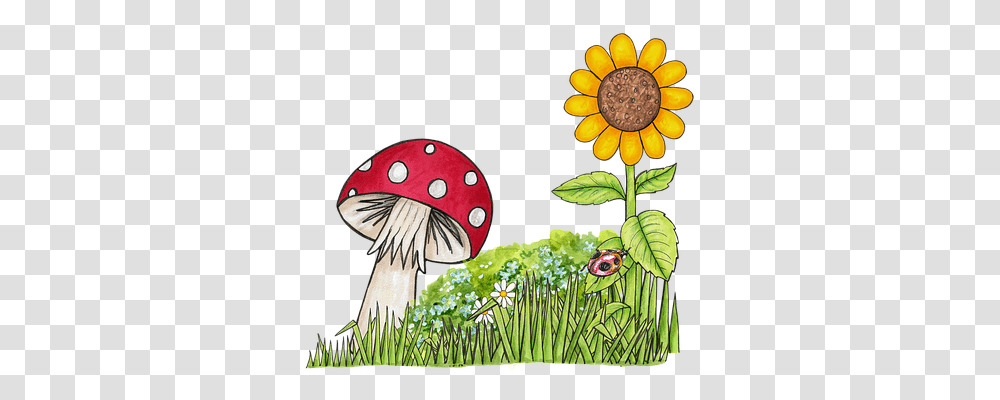 Toadstool Person, Plant, Bird, Animal Transparent Png