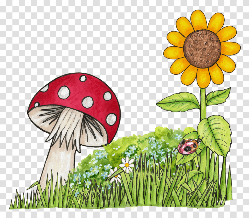 Toadstool Flower And Mushroom Clipart, Plant, Bird, Animal, Agaric Transparent Png
