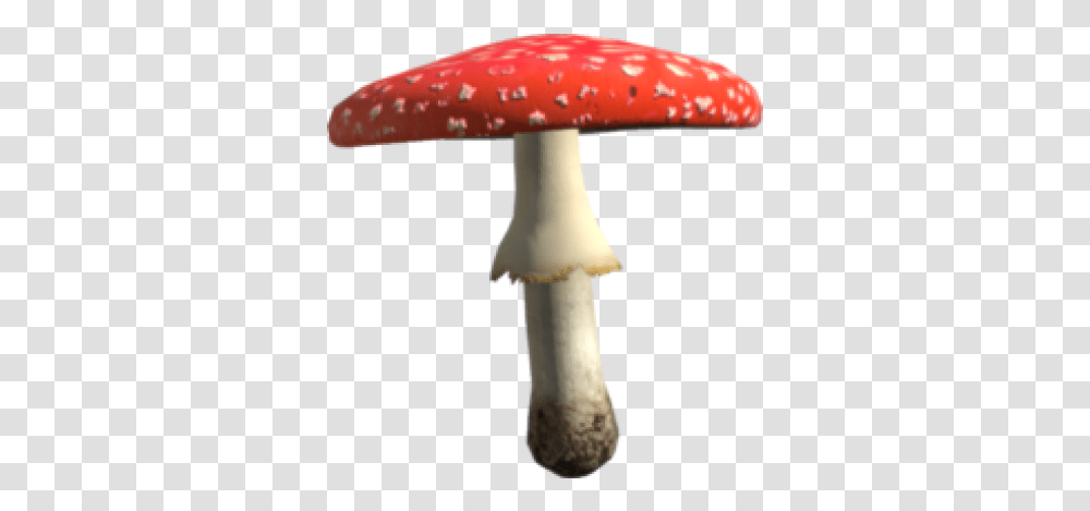 Toadstool Mushroom Amanita, Plant, Lamp, Agaric, Fungus Transparent Png