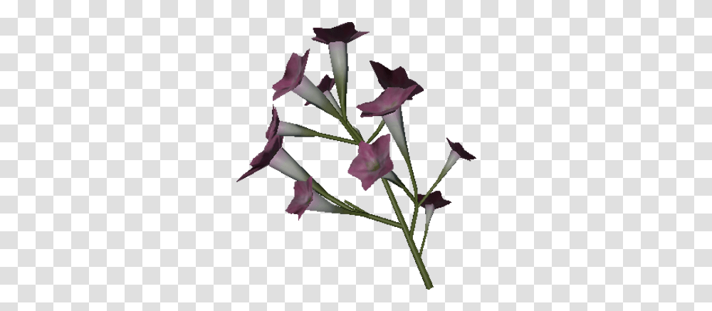 Tobacco Flower Official Green Hell Wiki Bellflower, Plant, Blossom, Acanthaceae, Gladiolus Transparent Png
