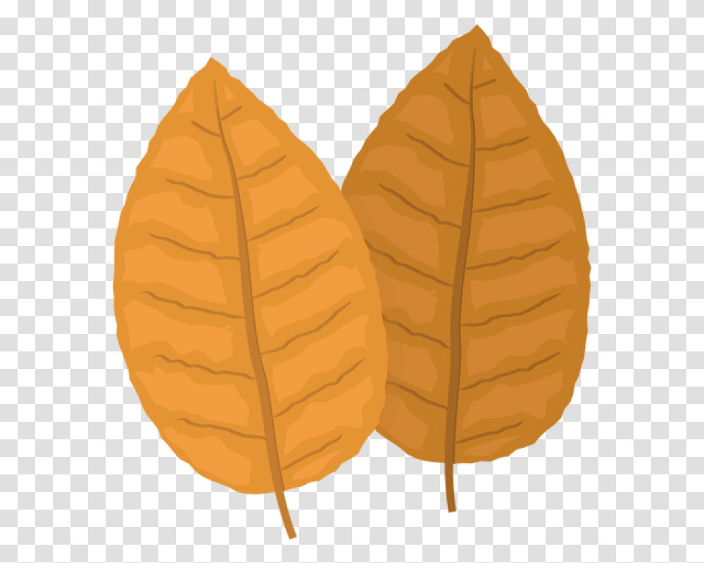 Tobacco Image Tobacco Leaf, Plant, Painting, Green Transparent Png