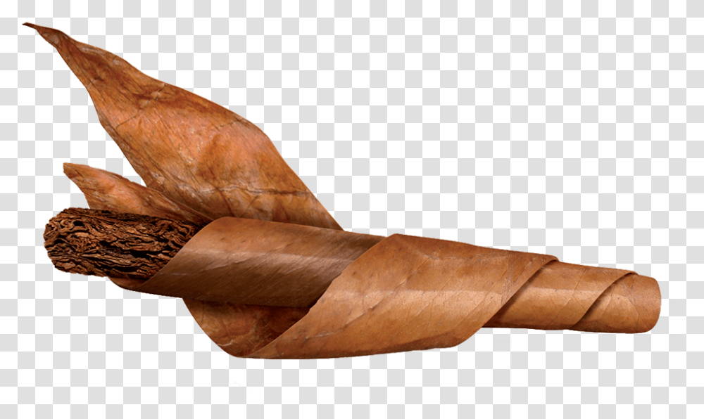 Tobacco Leaf Cigar, Animal, Apparel, Soil Transparent Png