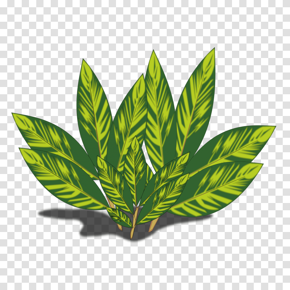 Tobacco Leaf Clip Art, Plant, Weed, Vegetation, Hemp Transparent Png