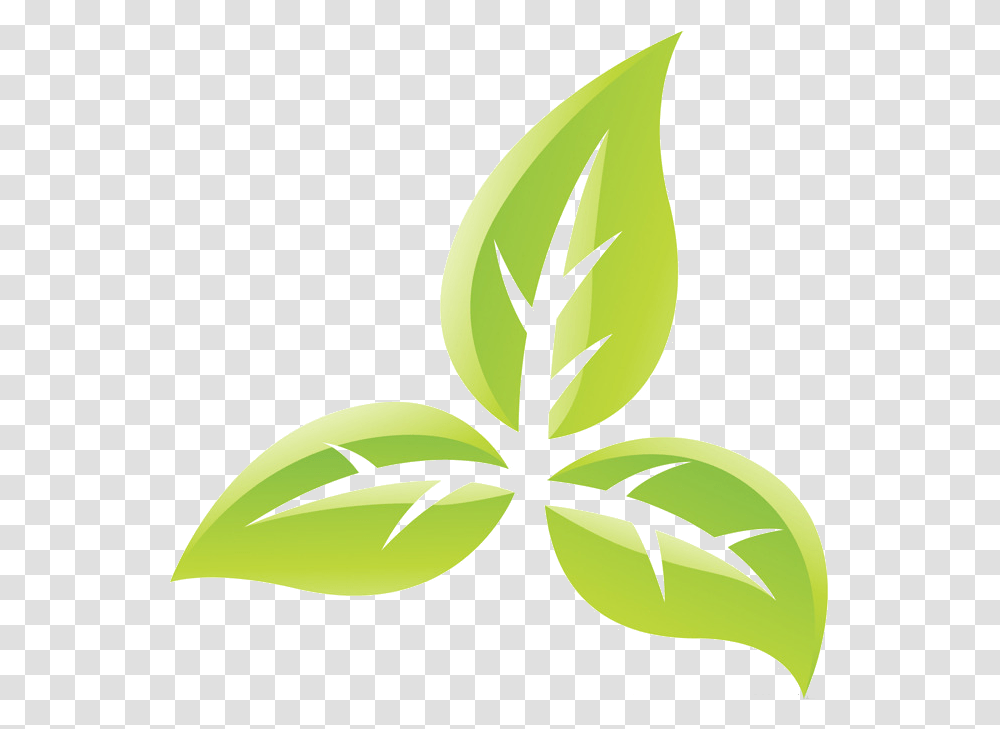 Tobacco Leaf Tobacco Plant Tobacco Symbol, Green, Flower, Blossom, Stencil Transparent Png