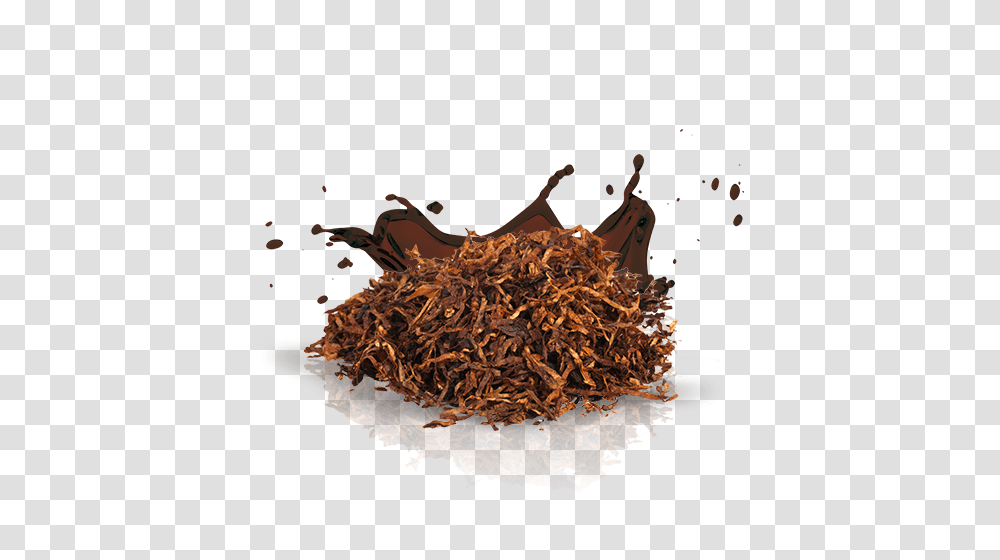 Tobacco, Nature, Fungus, Long Sleeve Transparent Png