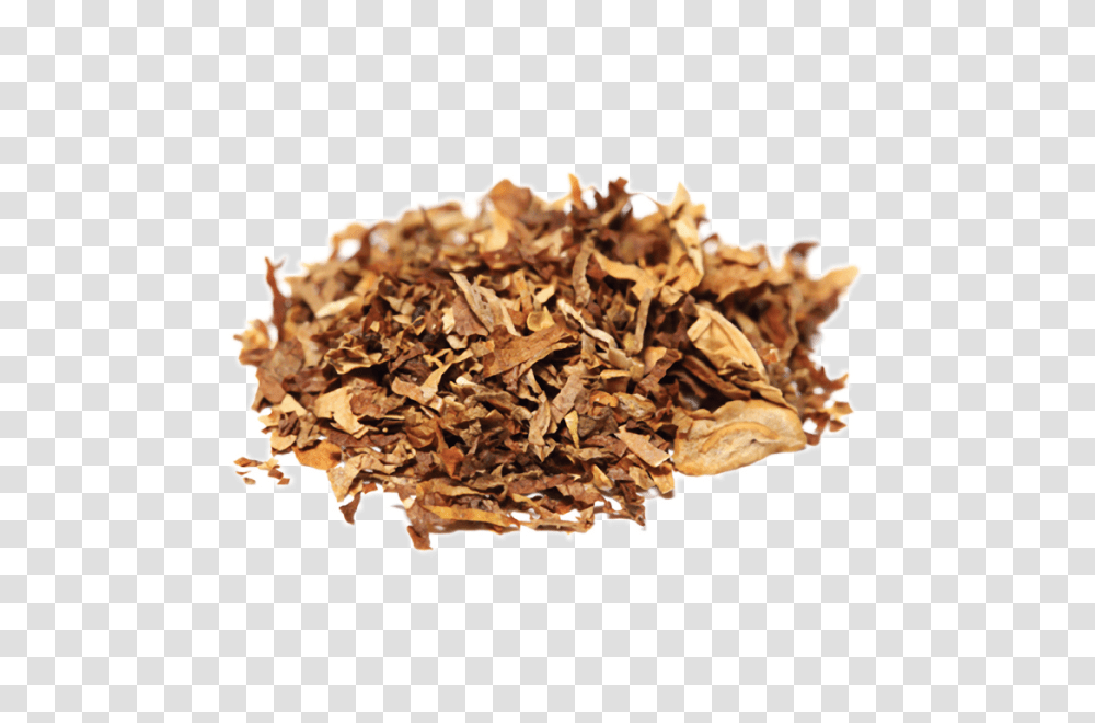 Tobacco, Nature, Fungus Transparent Png