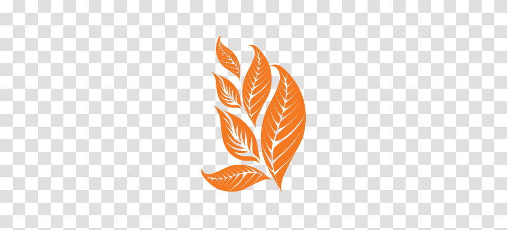 Tobacco, Nature, Leaf, Plant Transparent Png