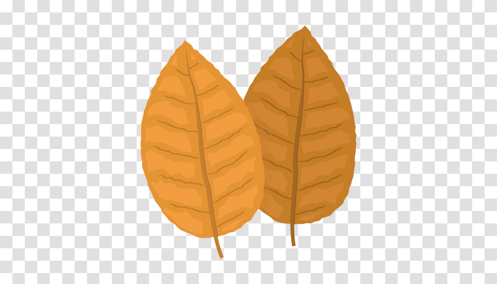 Tobacco, Nature, Leaf, Plant, Lamp Transparent Png