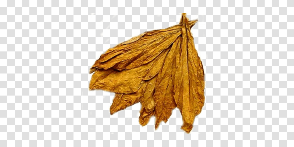 Tobacco, Nature, Leaf, Plant, Scarf Transparent Png