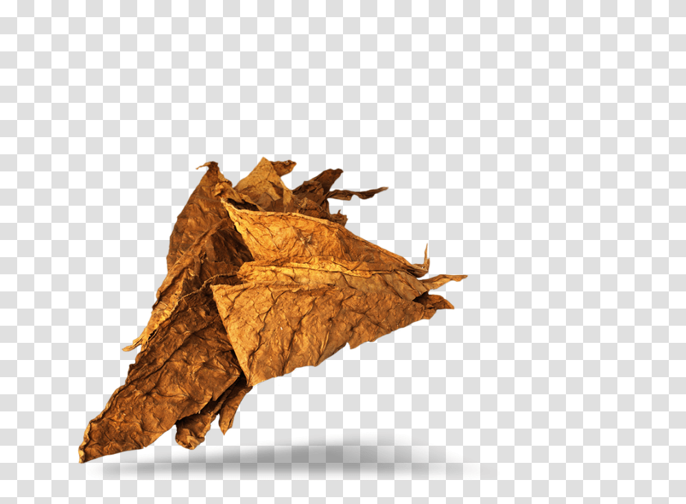 Tobacco, Nature, Leaf, Plant, Soil Transparent Png