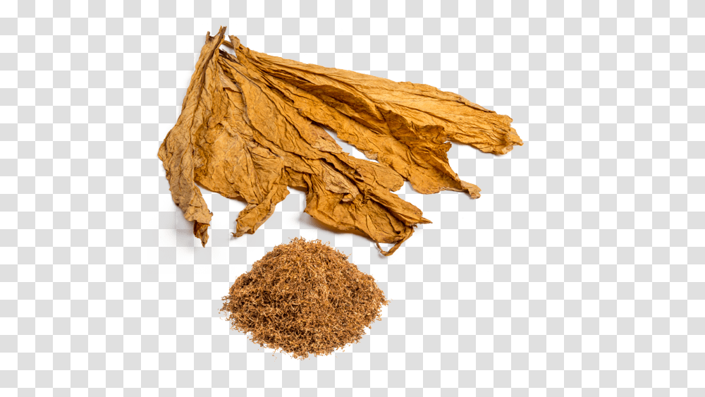 Tobacco, Nature, Leaf, Plant, Spice Transparent Png